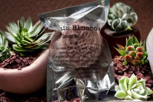 Cactus Blossom Body Bomb